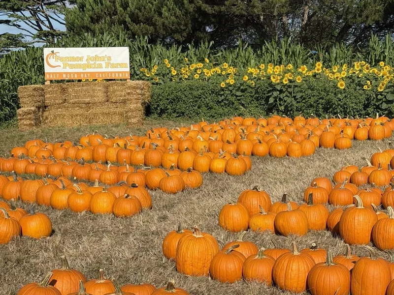 Farmer John's Pumpkin Farm photo