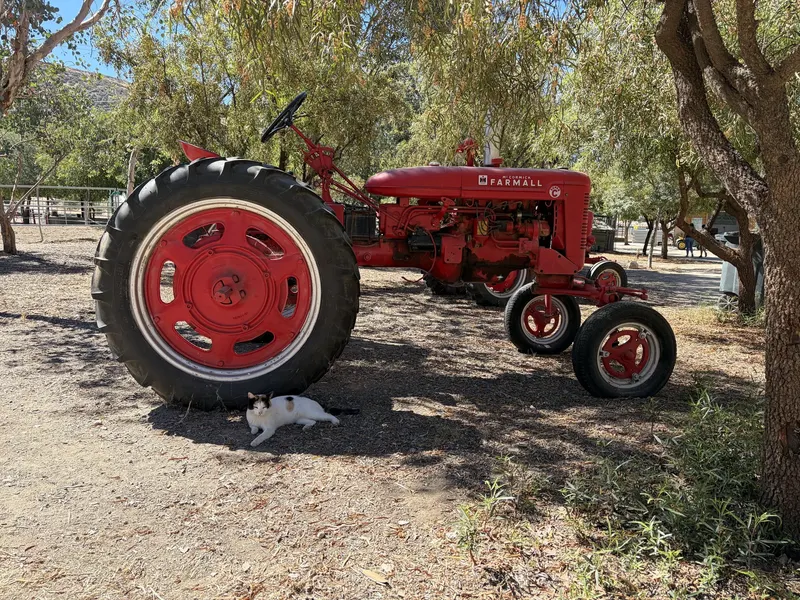 Gilchrist Farm photo