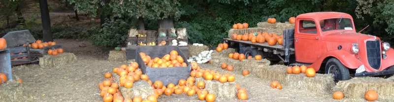 Hillcrest Tree Farm photo