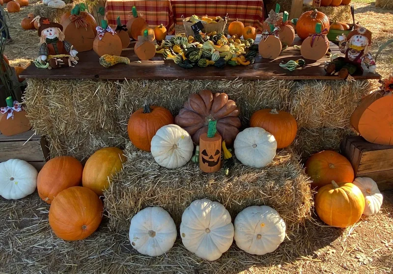 Loomis Little Field Farms