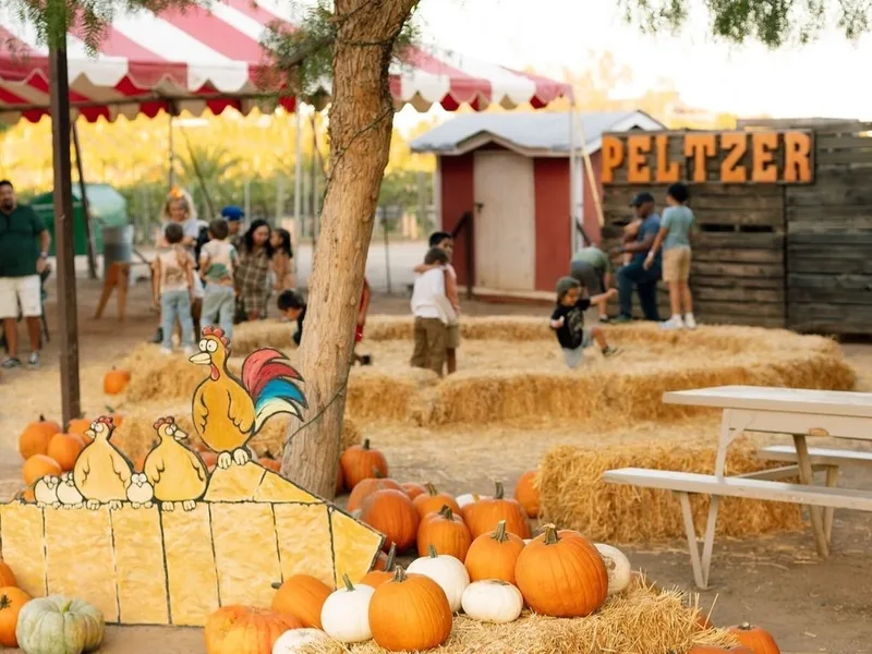 Peltzer Pumpkin Farm photo