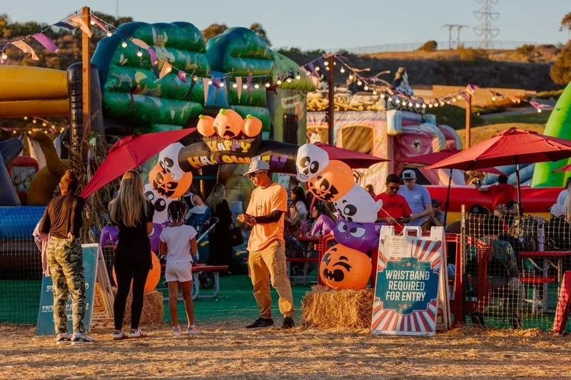 Pumpkin Palooza photo