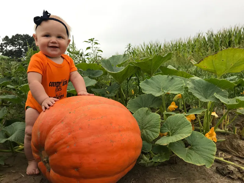 Country Kids Pumpkin Patch