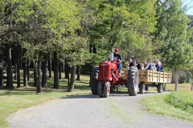 The Children's Farm at The Center photo