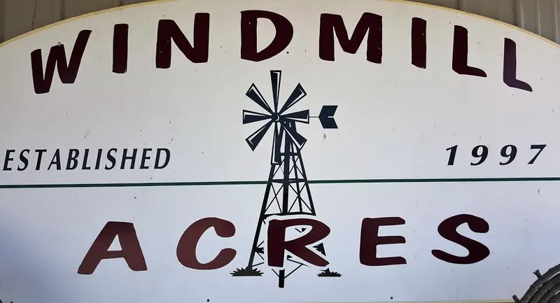Windmill Pumpkin Farm