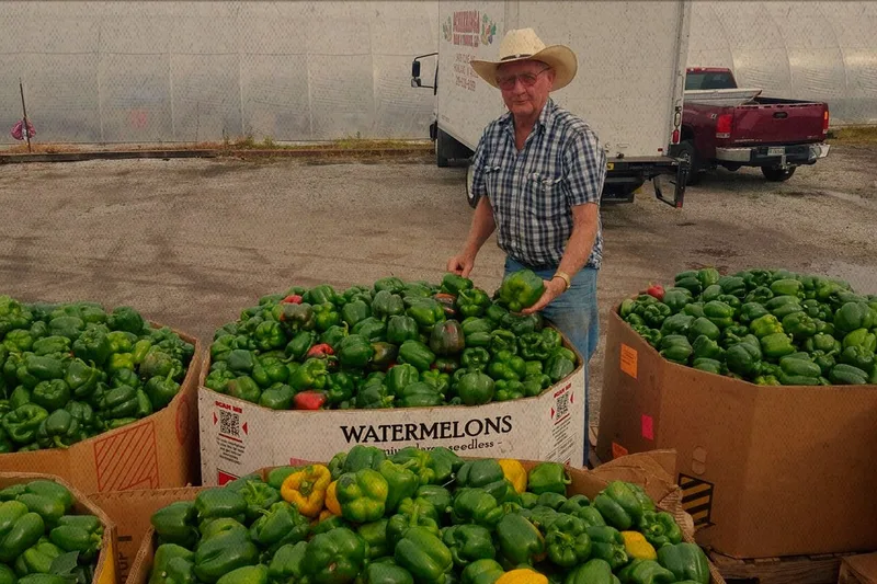 Scheeringa Farms & Produce
