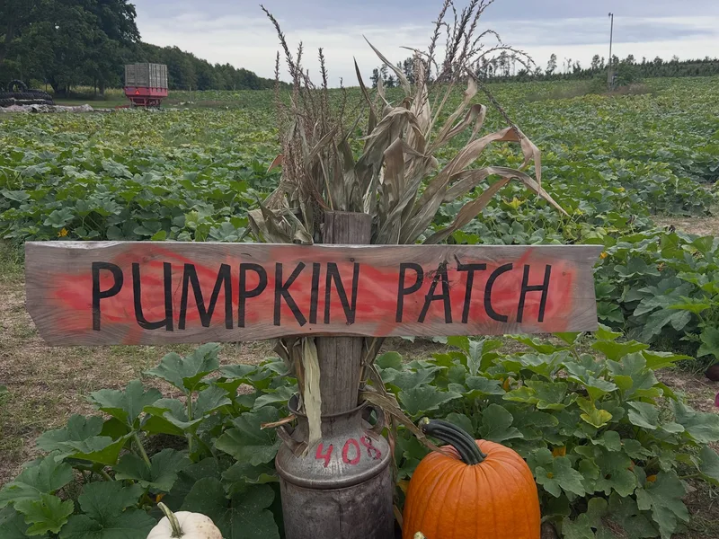 Calvin Lutz Farms