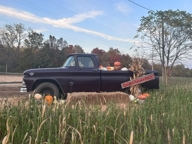 Calvin Lutz Farms photo