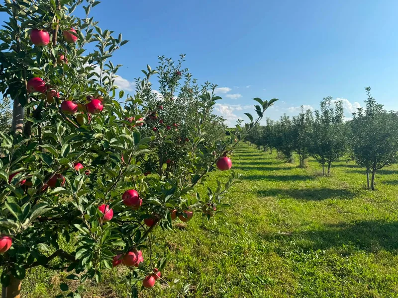 Forraht Farms