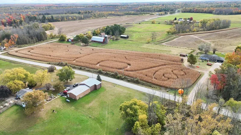 Hofer's Pumpkin Patch