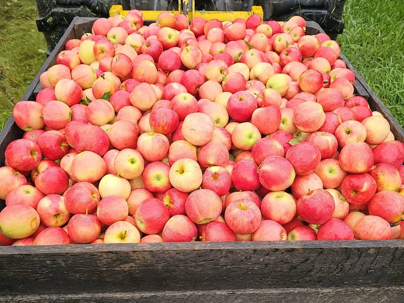 Kooistra Orchards