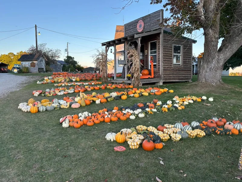 Maki Pumpkins and Produce