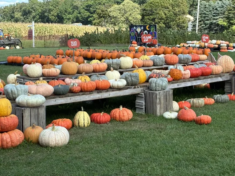 Spragues Pumpkin Patch