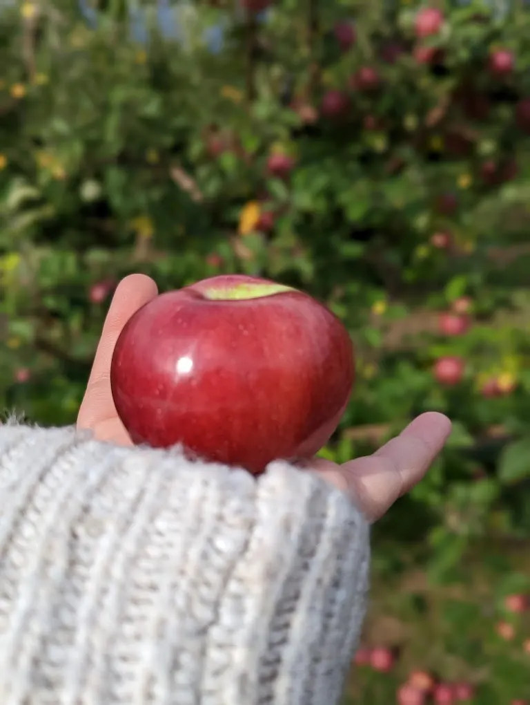 Baker Farm photo