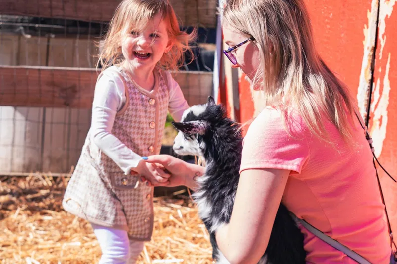 Dogwood Acres Family Farm photo