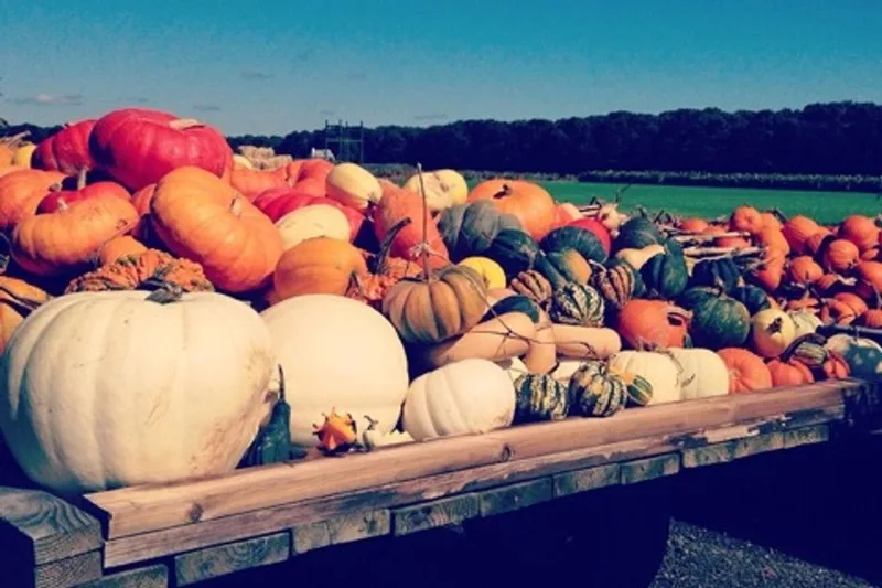 Glover Farms