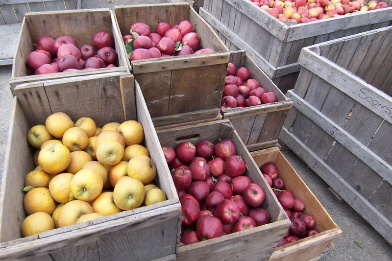 Soons Orchards photo