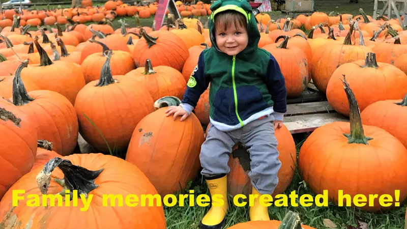 The Pumpkin Hollow