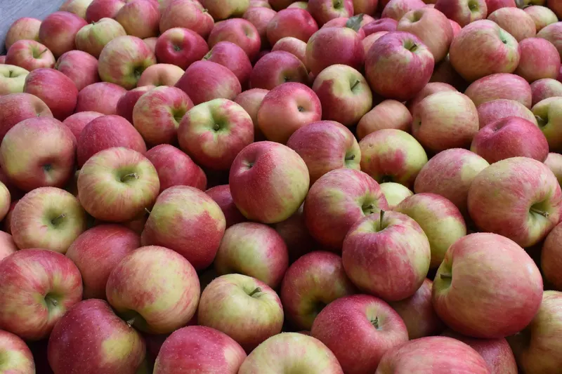 Wightman Fruit Farm