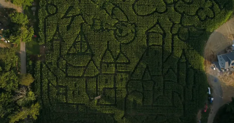 Wright Family Farm