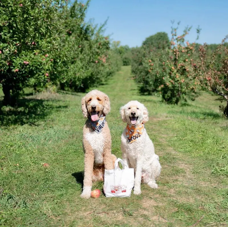 Wright's Farm photo
