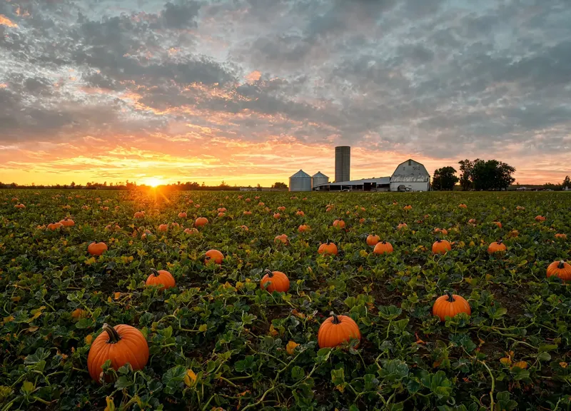 Circle S Farms