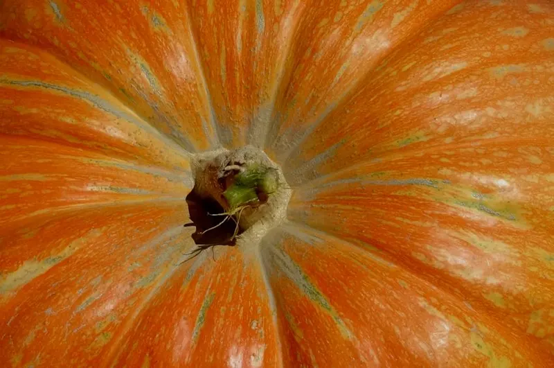 Circleville Pumpkin Show