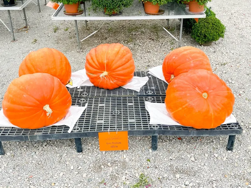 Garver Family Farm Market