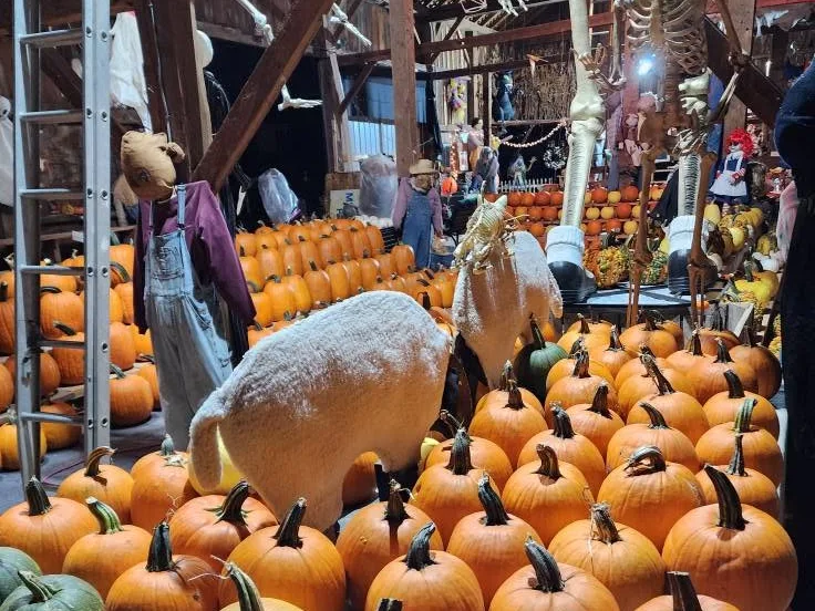 Katie's Pumpkin Barn