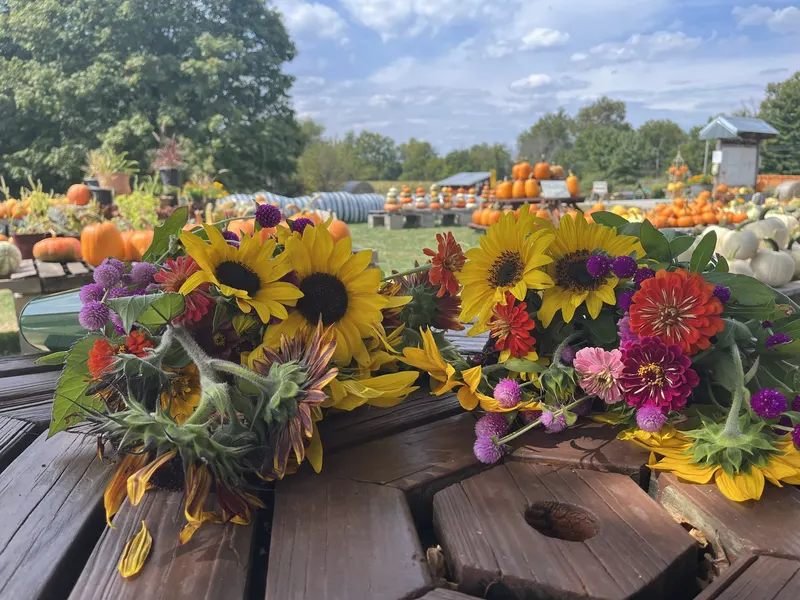 Lohstroh Family Farm