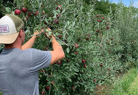 Peifer Orchards photo