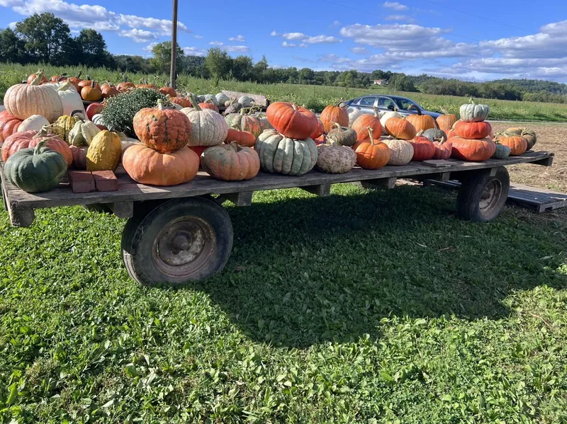 Carpenter's Pumpkin Farm, LLC