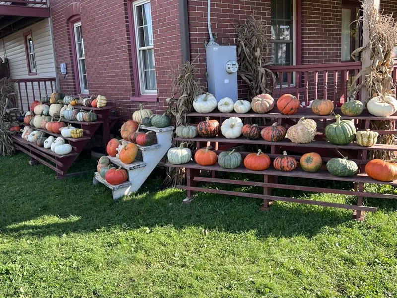 Carpenter's Pumpkin Farm, LLC photo