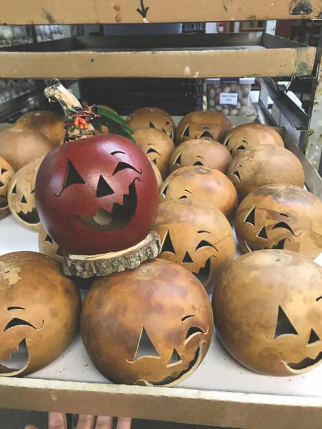 Meadowbrooke Gourds