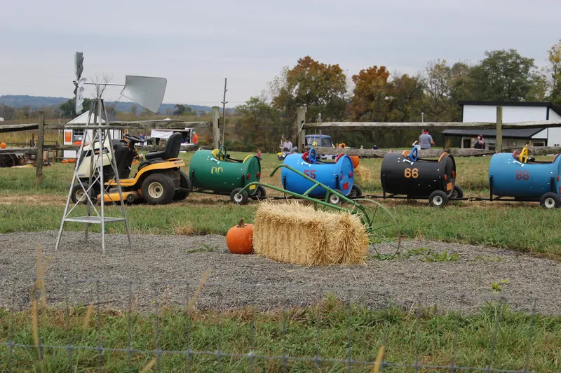Patchwork Pumpkin Farm photo