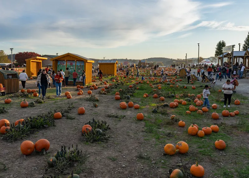 Roba Family Farms