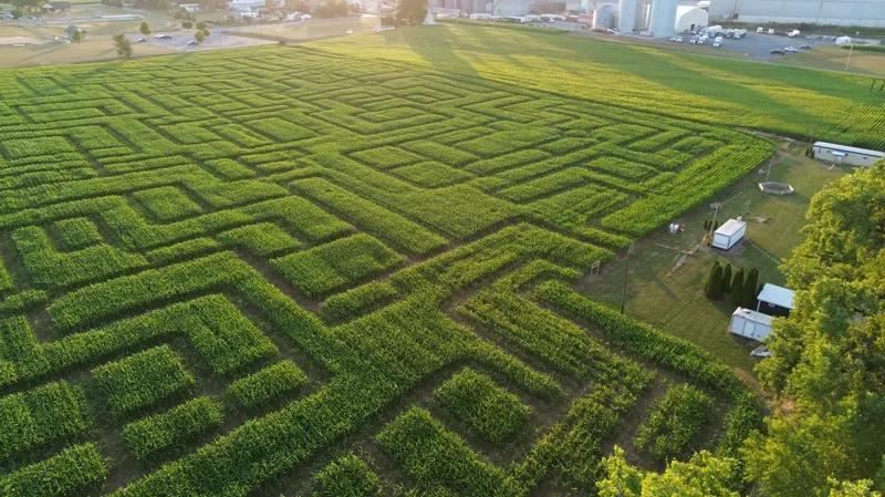 Seyfert's Corn Maze
