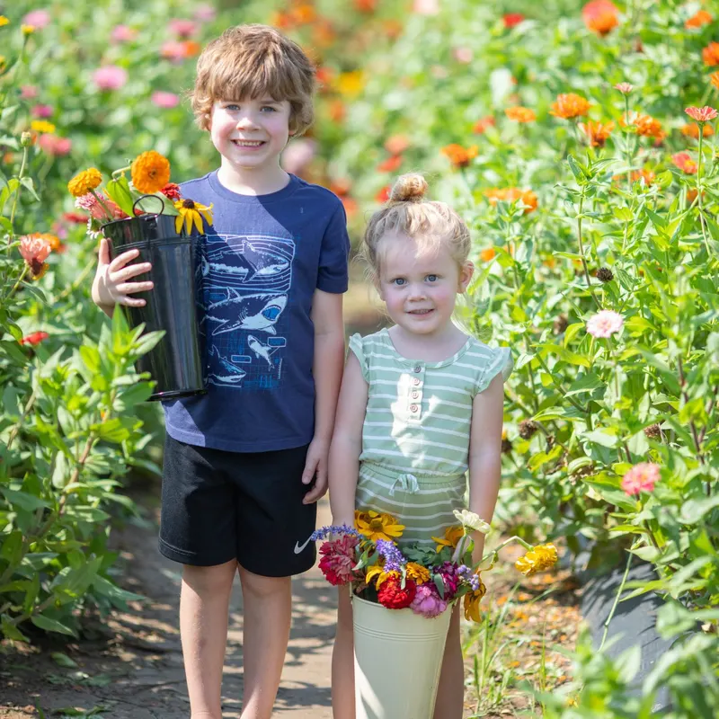 Shady Brook Farm