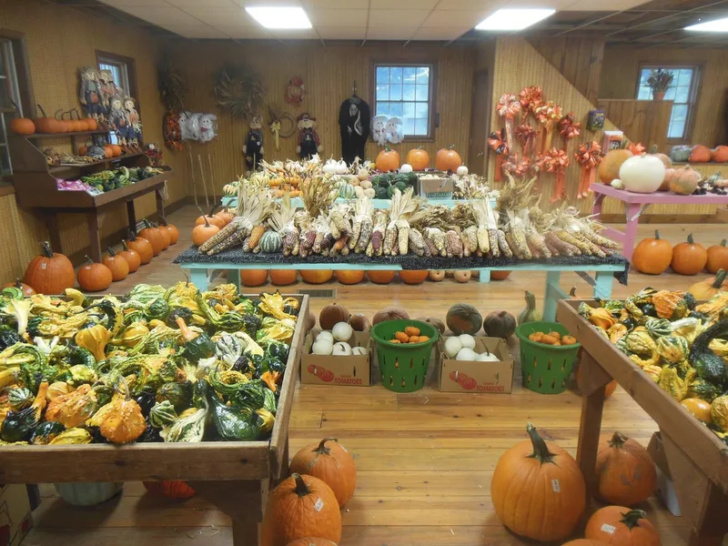 Wilcox Farms Corn Maze & Haunted Maze photo