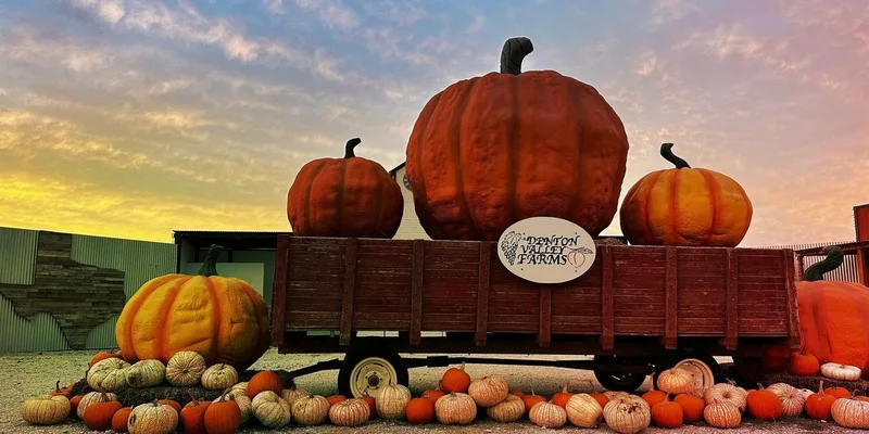 Denton Valley Farms