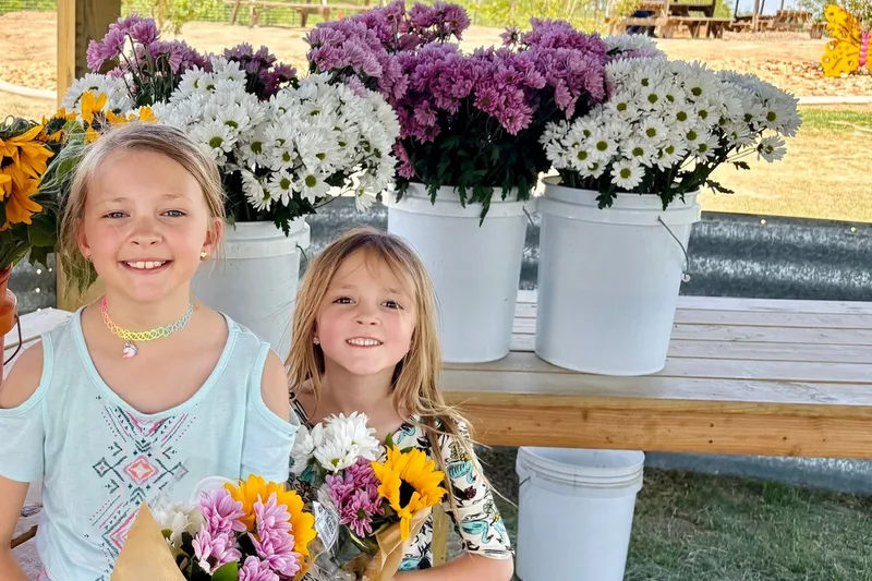 Devine Acres - San Antonio Pumpkin, Christmas & Easter Events