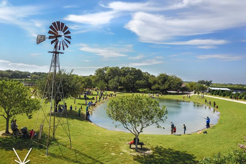 Devine Acres - San Antonio Pumpkin, Christmas & Easter Events photo