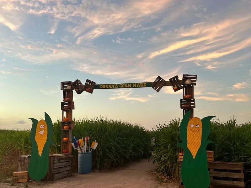 Donna's Corn Maze at Billman Farms