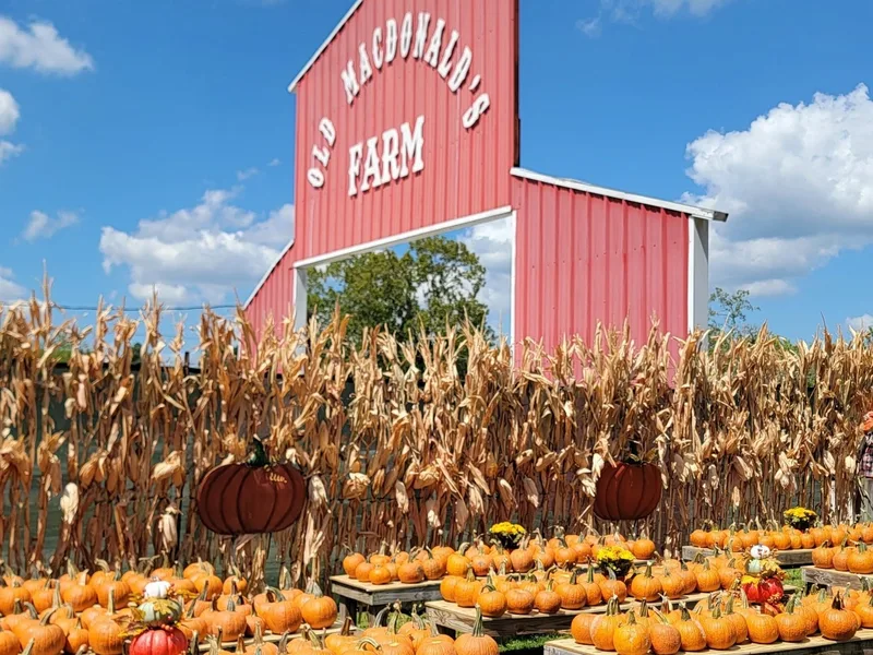 Old MacDonald's Farm